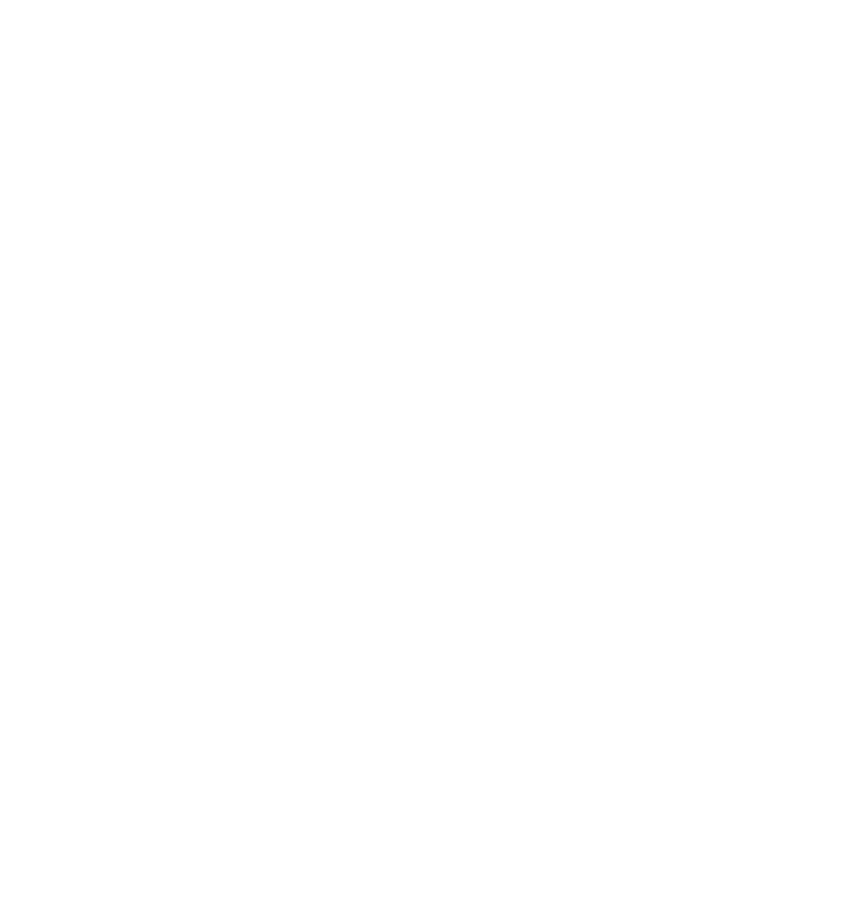 Previous